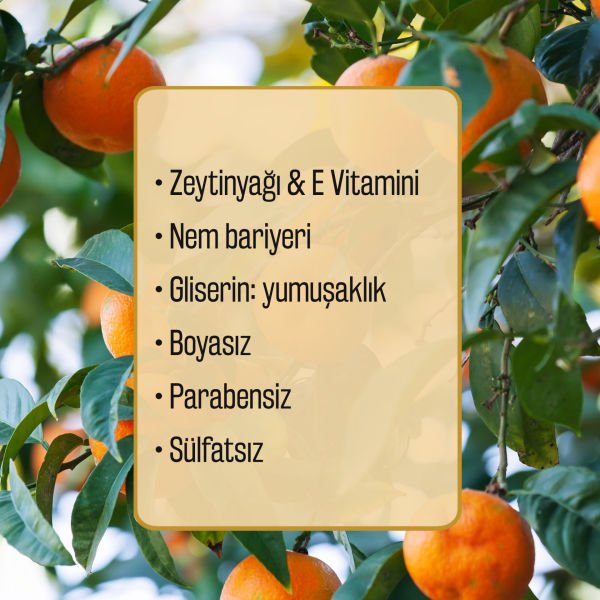 Ambrosia Nectar Zeytinyağlı Mandalina Kokulu Sıvı Sabun Refill 1500 ML (3x500 ML) Ekonomik Paket